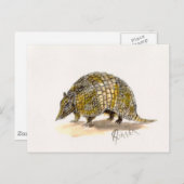 Carte postale Armadillo (Devant / Derrière)