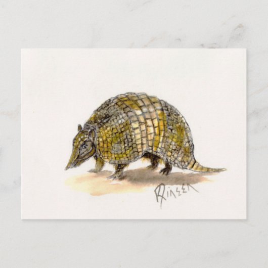 Carte postale Armadillo (Devant)