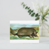 Carte Postale Armadillo géant (Debout devant)