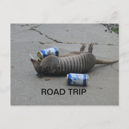 Carte Postale Armadillo Road Trip (Devant)