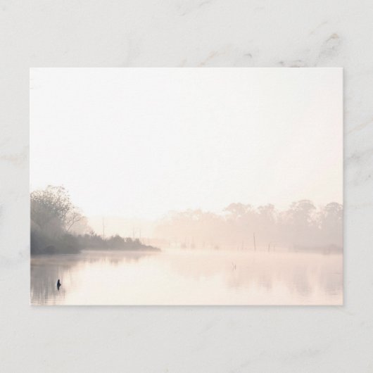 Carte Postale Armand Bayou brouillard (Devant)