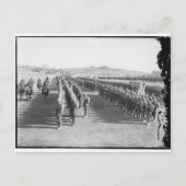 Carte Postale Armée ottomane (Devant)