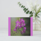 Carte Postale Armes à feu (Debout devant)