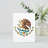 Carte Postale armure mexicaine (Debout devant)