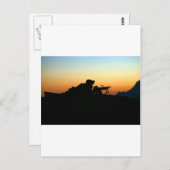 CARTE POSTALE ARMY SNIPER (Devant / Derrière)