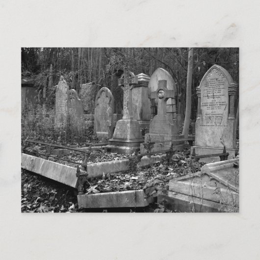 Carte Postale ArnosVale4 (Devant)