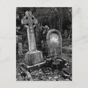 Carte Postale ArnosVale7