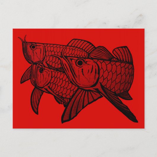 Carte postale Arowana (Devant)