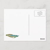 carte postale arowana (Dos)