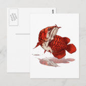 Carte Postale Arowana asiatique (Devant / Derrière)