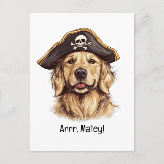Carte Postale Arr Matey Pirate Golden Retriever Chien Crâne (Devant)