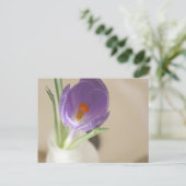 Carte Postale Arrangement de crocus (Debout devant)