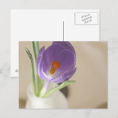 Carte Postale Arrangement de crocus (Devant / Derrière)