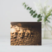 Carte Postale Arrangement Skeletal, Catacombes de Paris (Debout devant)