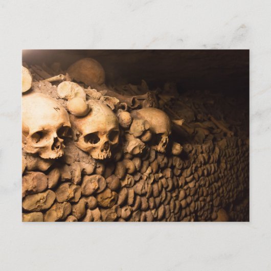 Carte Postale Arrangement Skeletal, Catacombes de Paris (Devant)
