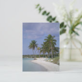 Carte Postale Arrangements tropicaux (Debout devant)