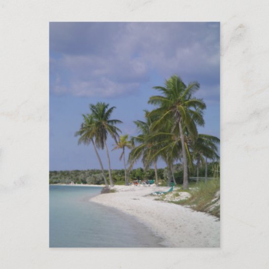 Carte Postale Arrangements tropicaux (Devant)