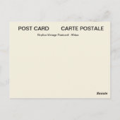 Carte Postale Arrêt de chameau dans le désert (Dos)