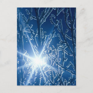 Carte Postale Arrêter par Woods dans une soirée enneigée