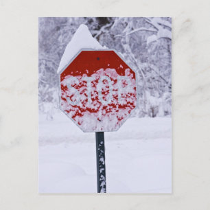 Carte Postale Arrêtez de neiger !