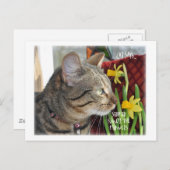 Carte Postale Arrêtez et sentez les fleurs (Devant / Derrière)