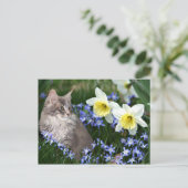 Carte Postale Arrêtez et sentez les fleurs (Debout devant)