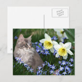 Carte Postale Arrêtez et sentez les fleurs (Devant / Derrière)