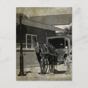 Carte Postale Arrêtez pour un sort, Cheval Amish au panneau stop