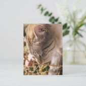 Carte Postale Arrêtez-vous et respirez le parfum des fleurs (Debout devant)