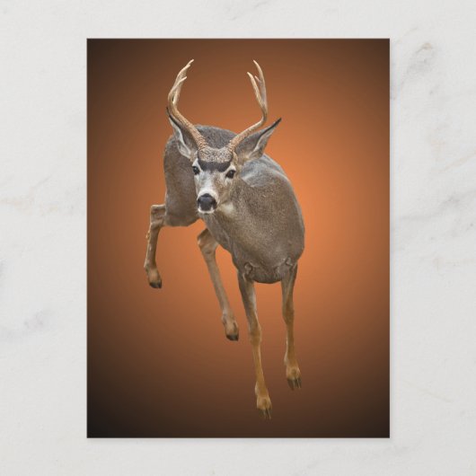 CARTE POSTALE ARRÊTS DE BOUCLE ICI (Devant)