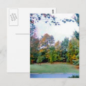 Carte Postale Arrière-cour (Devant / Derrière)