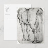 Carte Postale Arrière du cheval (Devant / Derrière)