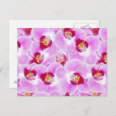 Carte Postale Arrière - plan Abstrait d'une orchidée (Devant / Derrière)