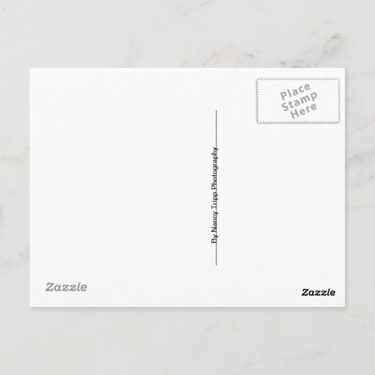 Carte Postale Arrière - plan Abstrait d'une orchidée (Dos)