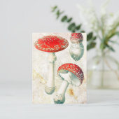 Carte Postale Arrière - plan affligé de champignon rouge morel (Debout devant)