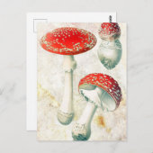 Carte Postale Arrière - plan affligé de champignon rouge morel (Devant / Derrière)