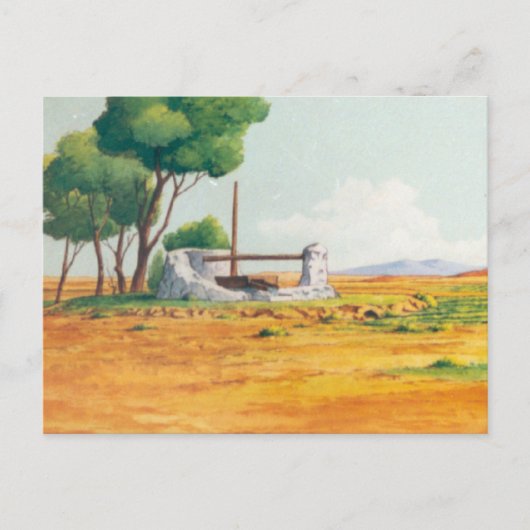 Carte Postale Arrière - plan D'ANIMATION DON QUIXOTE (Devant)