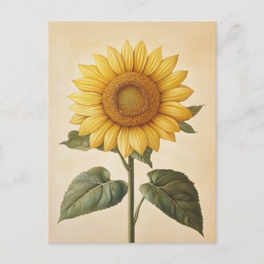 Carte Postale Arrière - plan d'aquarelle jaune tournesol (Devant)