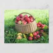 Carte Postale Arrière - plan d'automne (Devant)