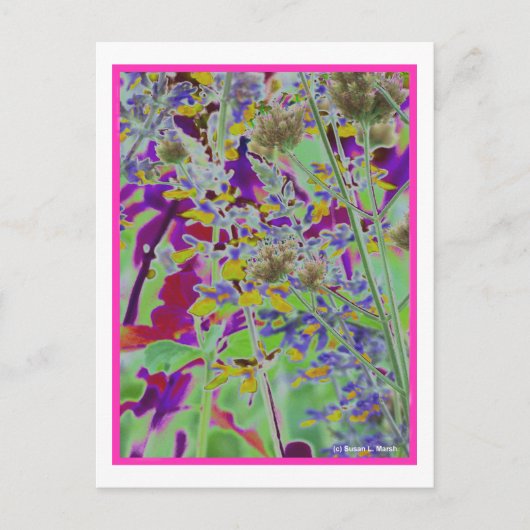 Carte Postale Arrière - plan de conception florale néon numérisé (Devant)