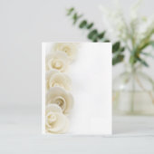 Carte Postale arrière - plan de roses blanches (Debout devant)