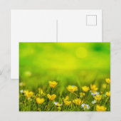 Carte Postale Arrière - plan des fleurs de printemps (Devant / Derrière)