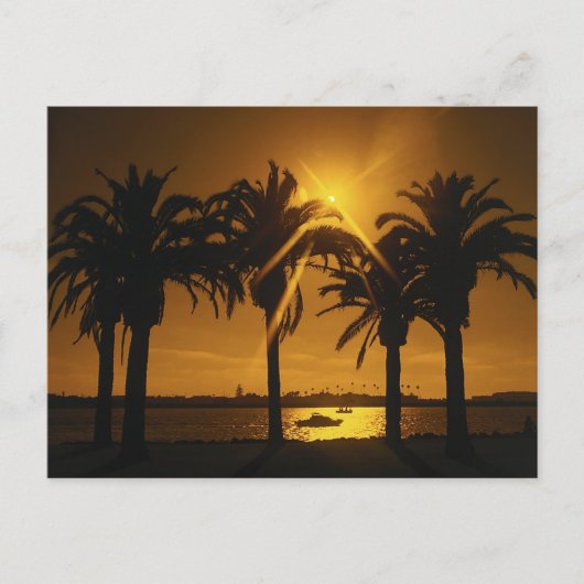 Carte Postale Arrière - plan du ciel tropical (Devant)