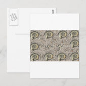 Carte Postale arrière - plan fossile (Devant / Derrière)