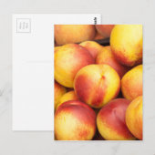 Carte Postale Arrière - plan Nectarines (Devant / Derrière)