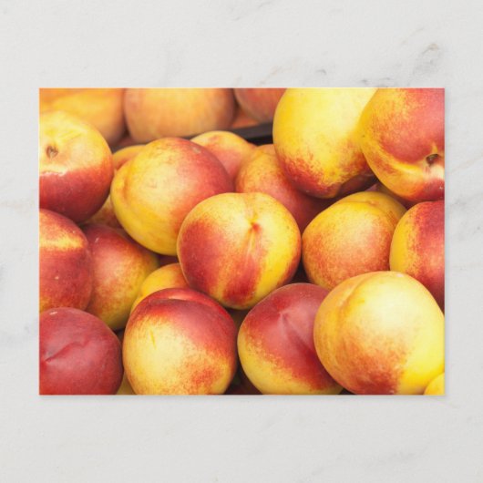 Carte Postale Arrière - plan Nectarines (Devant)