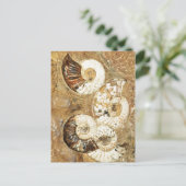 Carte Postale Arrière - plan préhistorique avec des coques fossi (Debout devant)