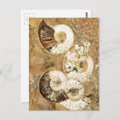 Carte Postale Arrière - plan préhistorique avec des coques fossi (Devant / Derrière)