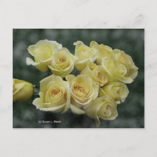 Carte Postale Arrière - plan tacheté de bouquet de rose jaune