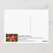 Carte Postale Arrivées d'automne (Dos)